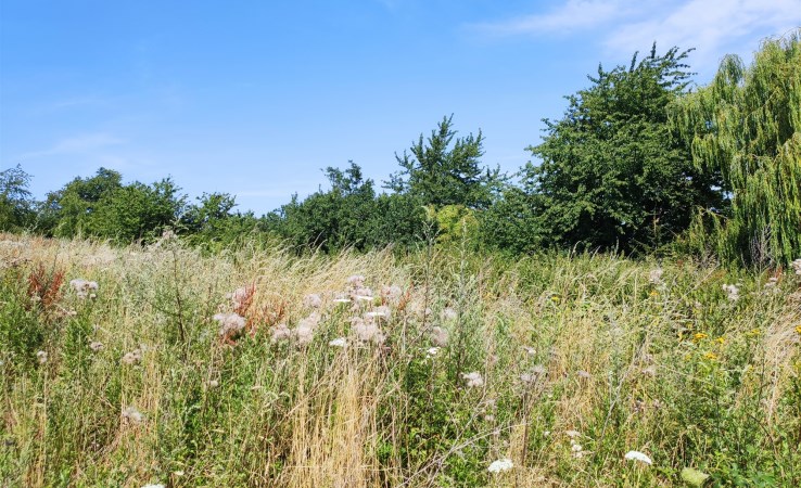 działka na sprzedaż - Dobromierz